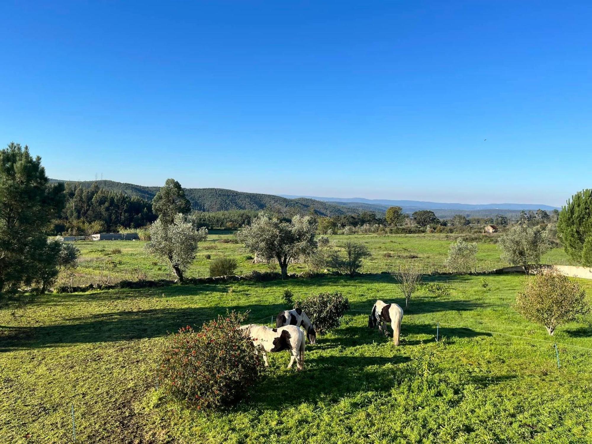 Quinta Da Barroca Do Cabo Bed and Breakfast Ázere Exteriör bild